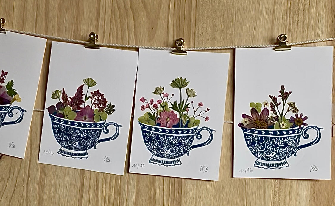 Les herbiers