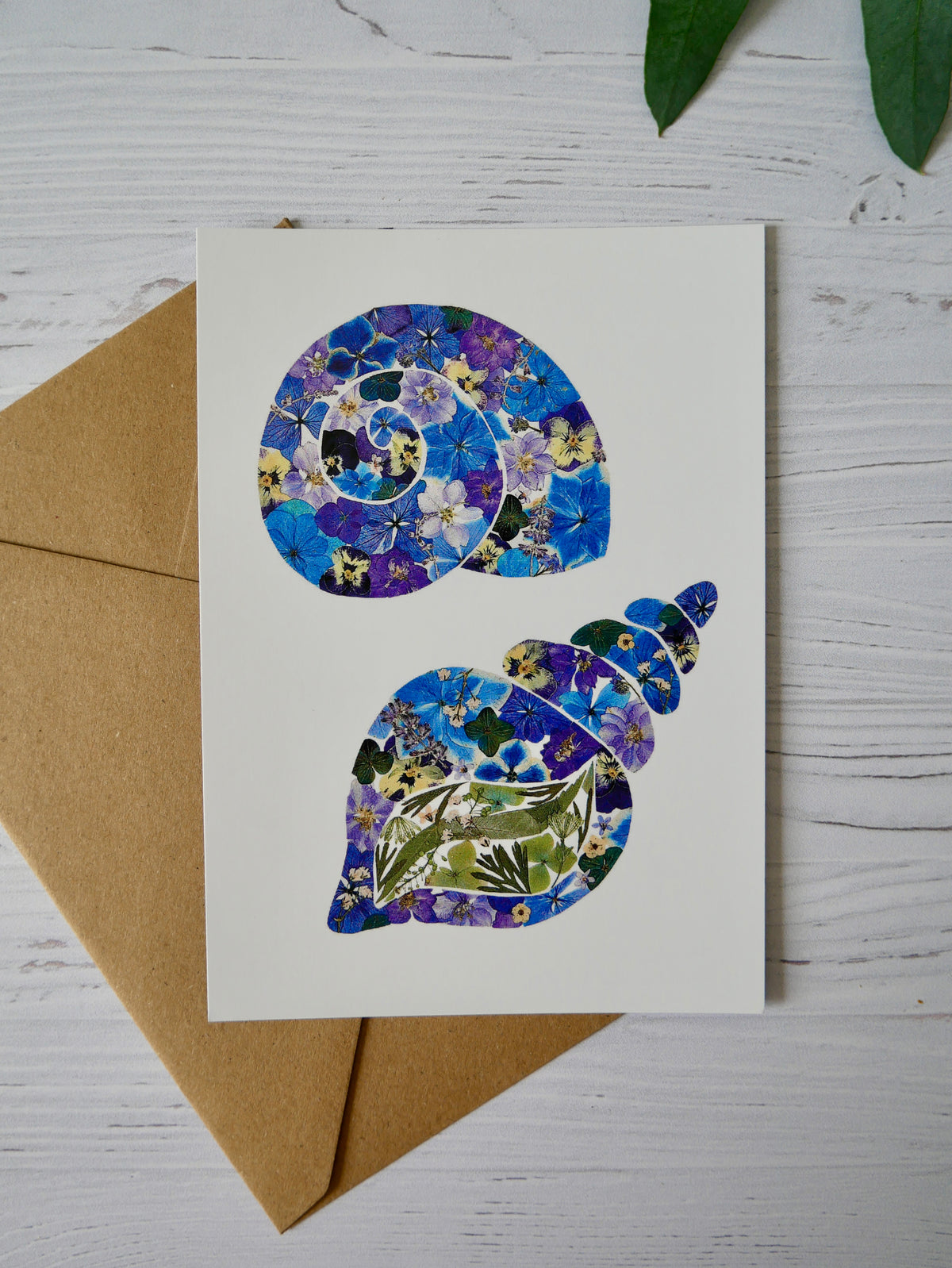 Carte « coquillage »