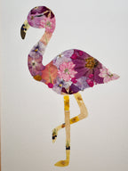Herbier Flamant rose