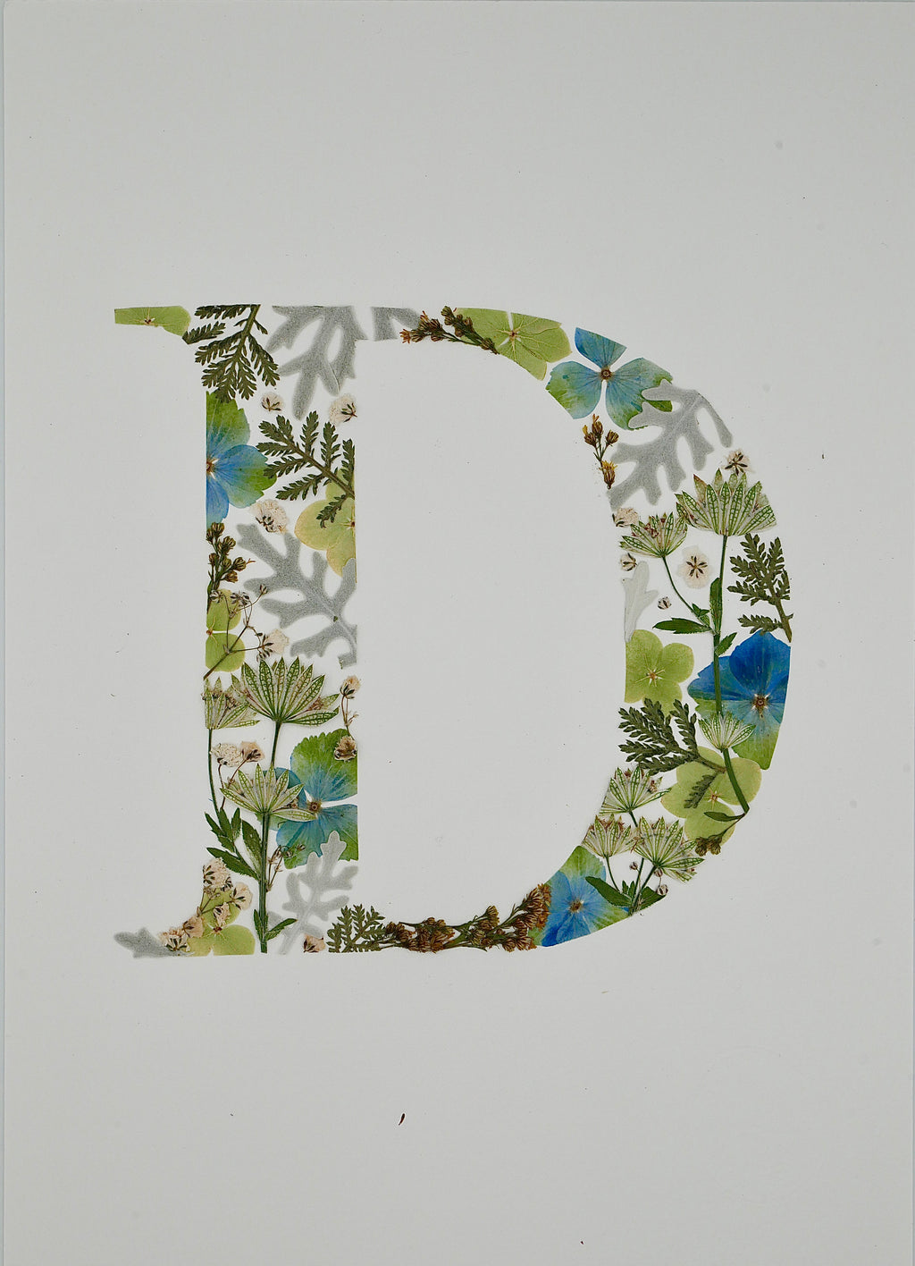 Herbier lettre