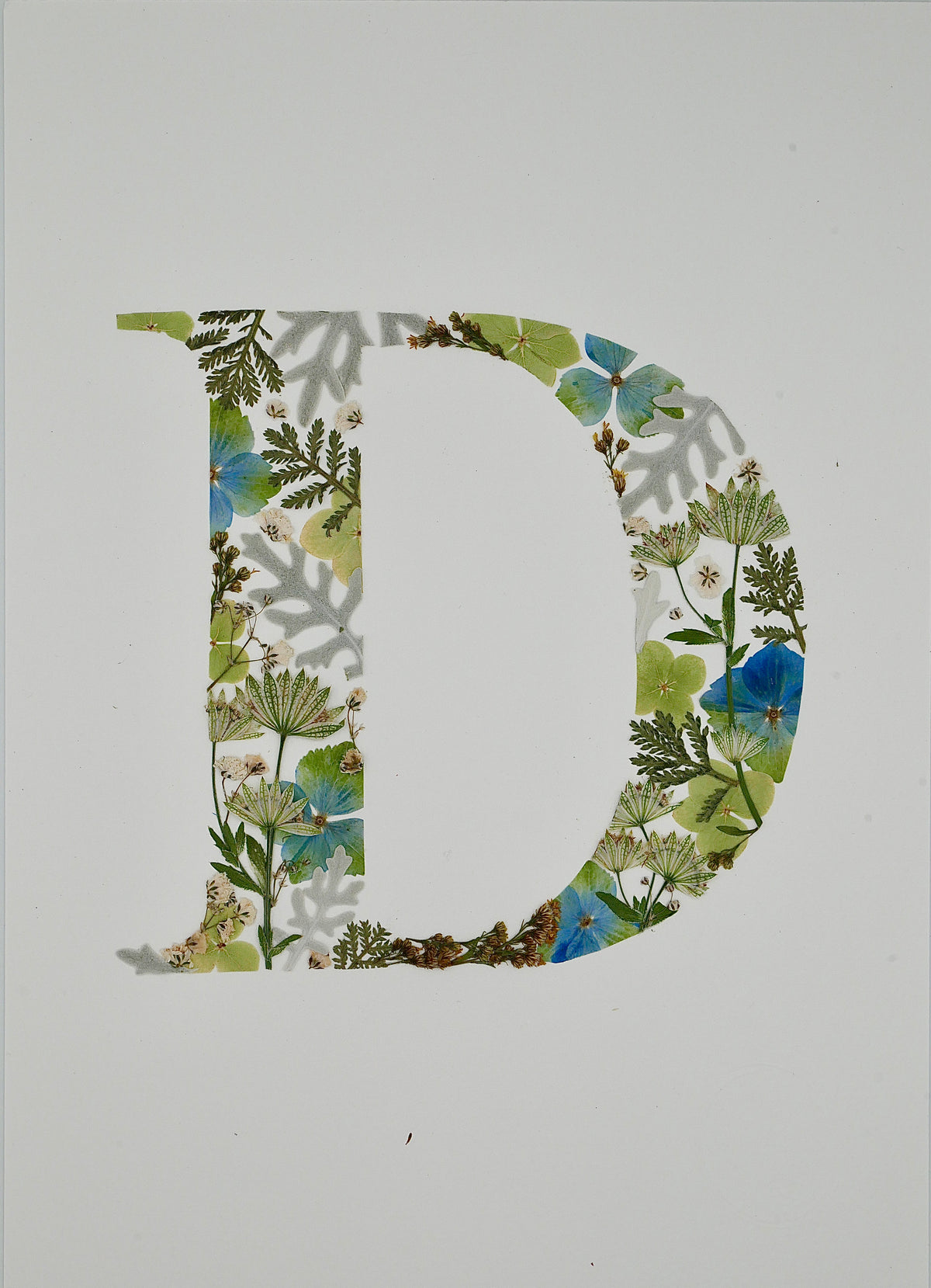 Herbier lettre