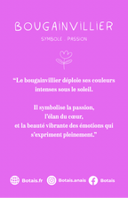 Pampilles passion