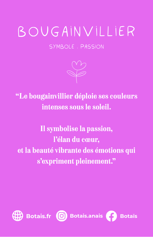 Pampilles passion