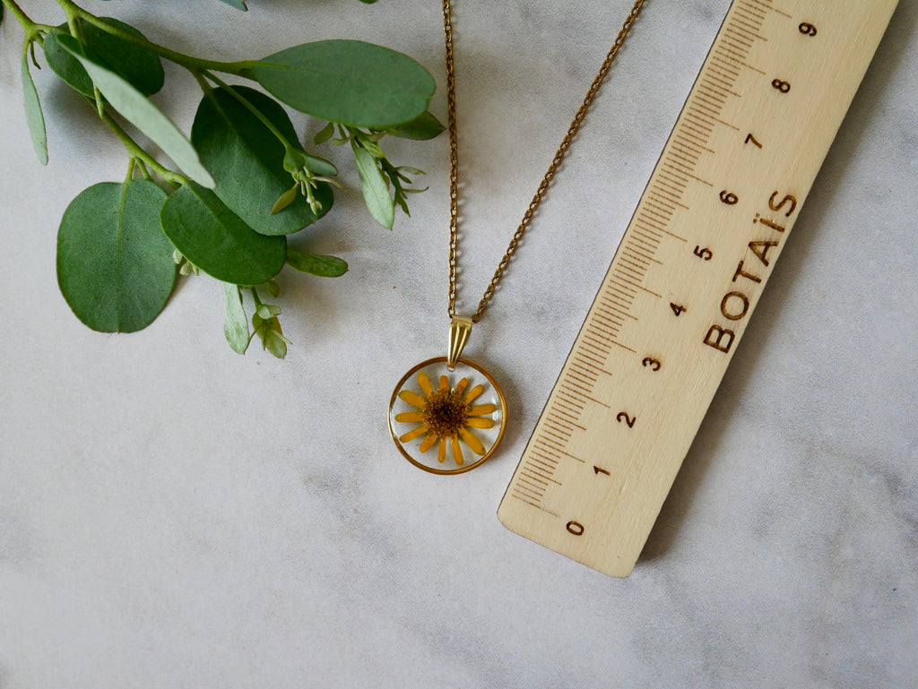 Collier sanvitalia cercle doré