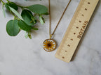 Collier sanvitalia cercle doré