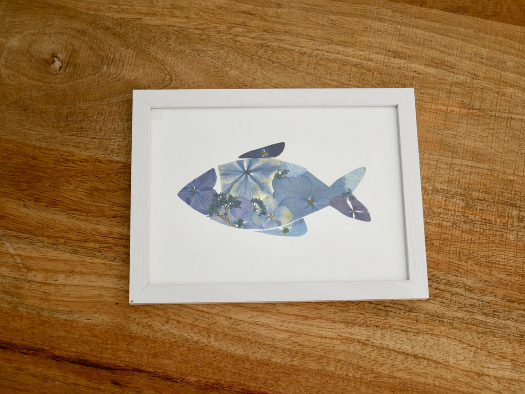Herbier poisson petit format