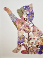 Herbier chat