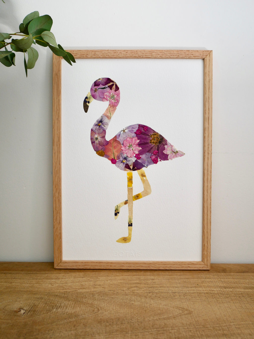 Herbier Flamant rose
