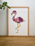 Herbier Flamant rose