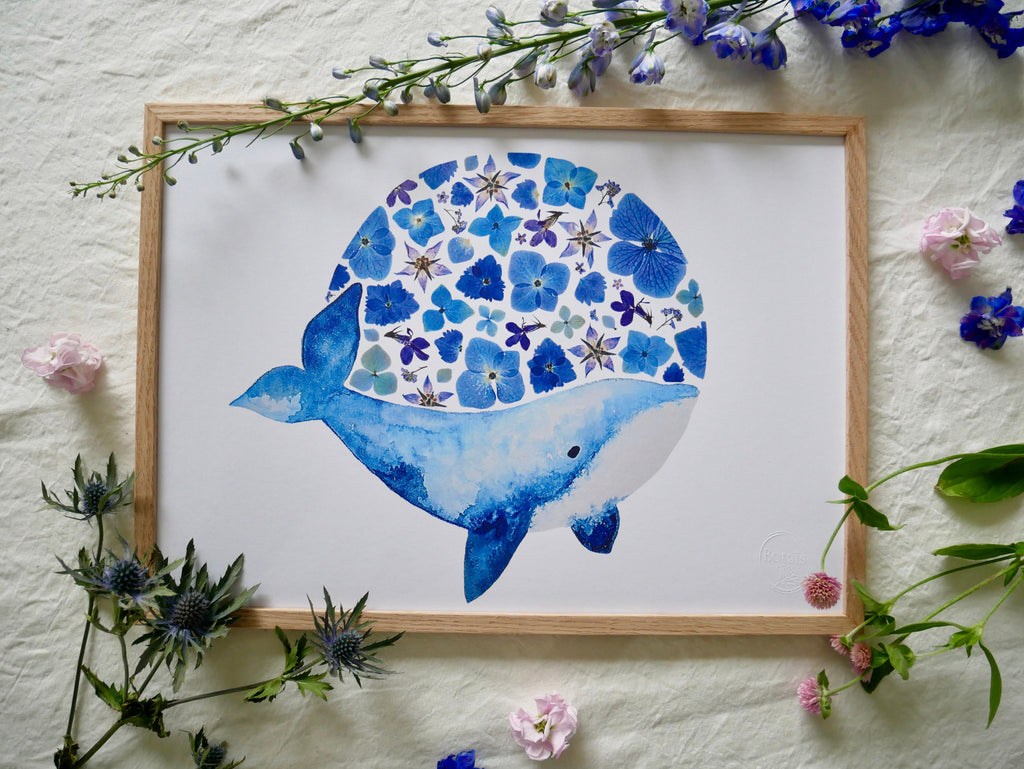 Affiche Baleine A3
