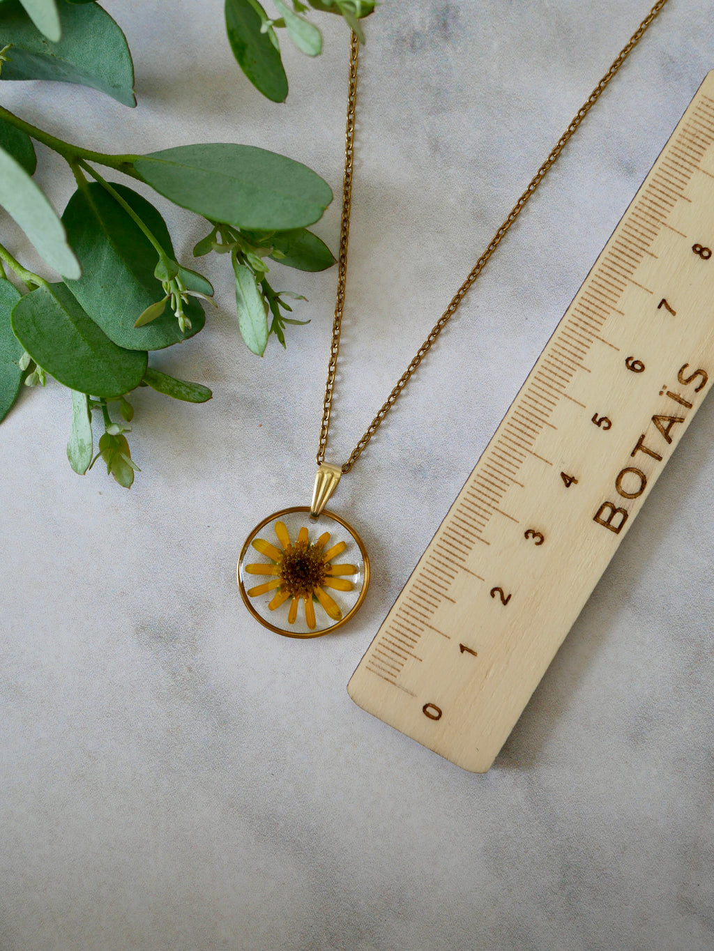 Collier sanvitalia cercle doré
