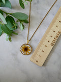 Collier sanvitalia cercle doré