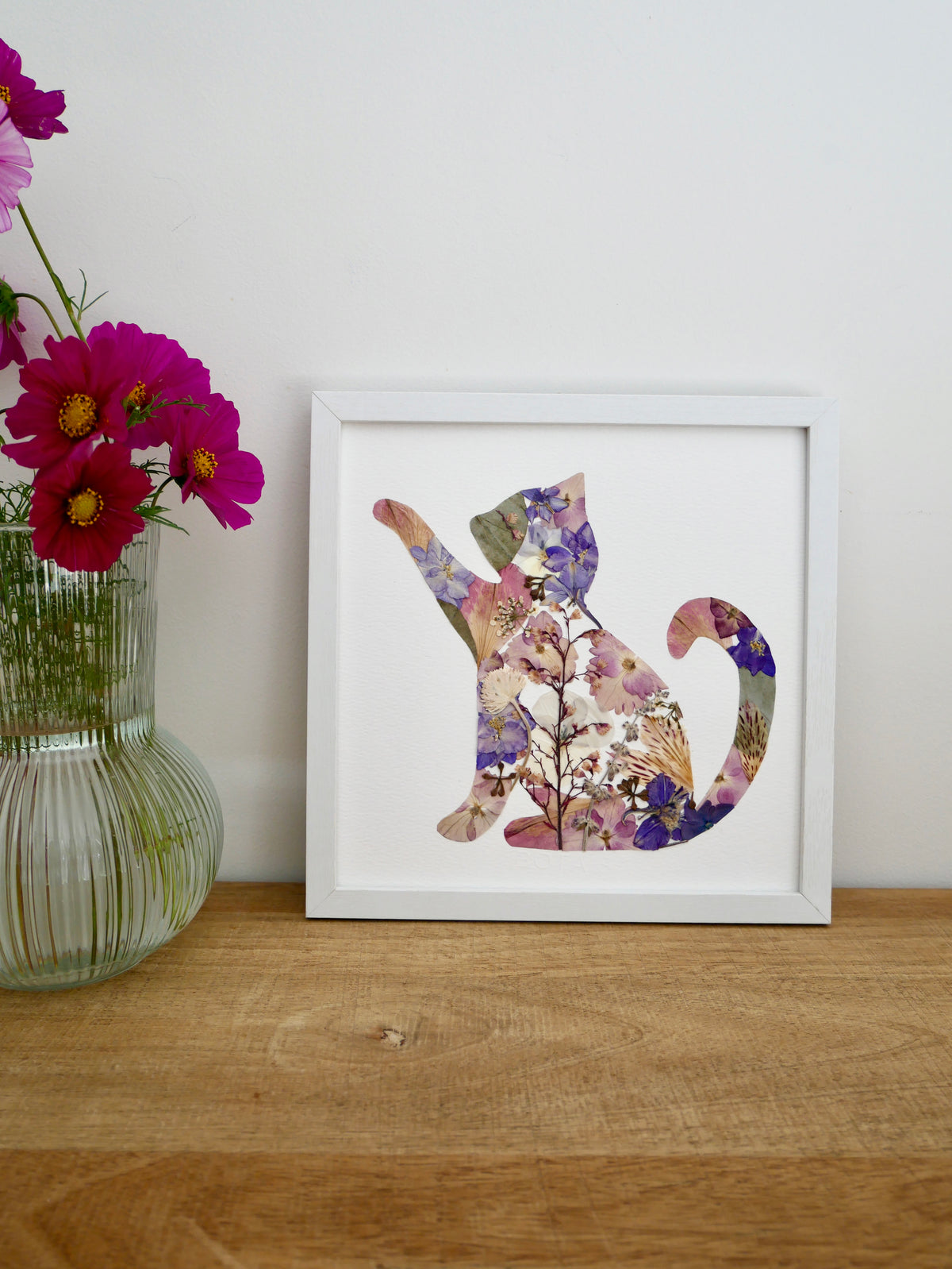 Herbier chat