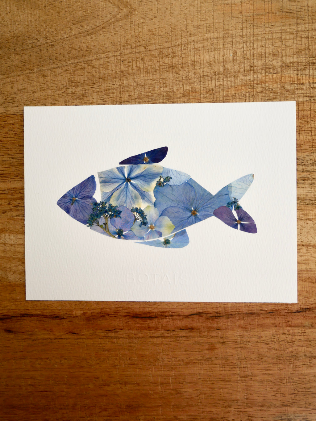 Herbier poisson petit format