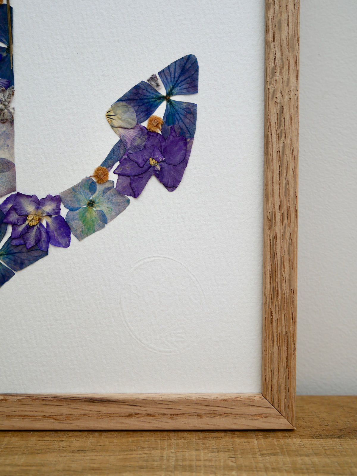 Herbier ancre