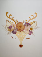 Herbier Faon