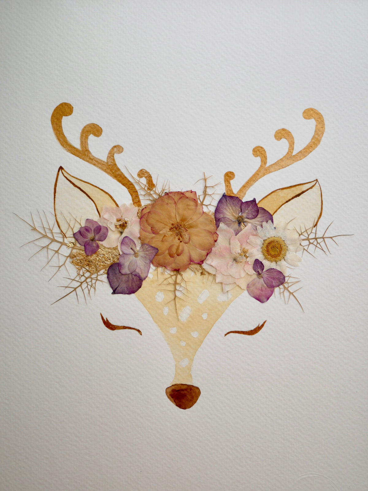 Herbier Faon