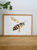 Herbier Abeille