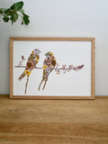 Herbier hirondelles