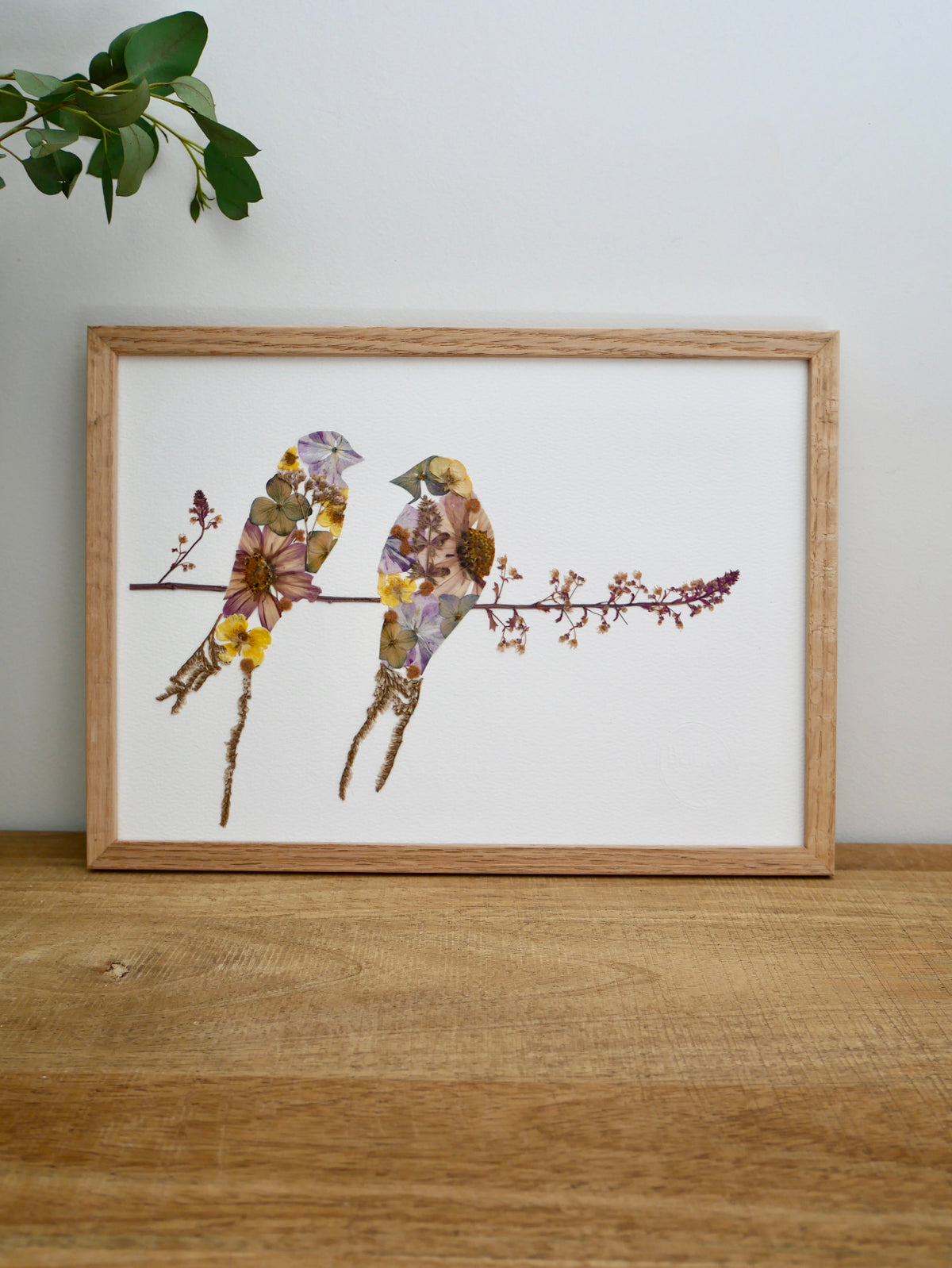 Herbier hirondelles