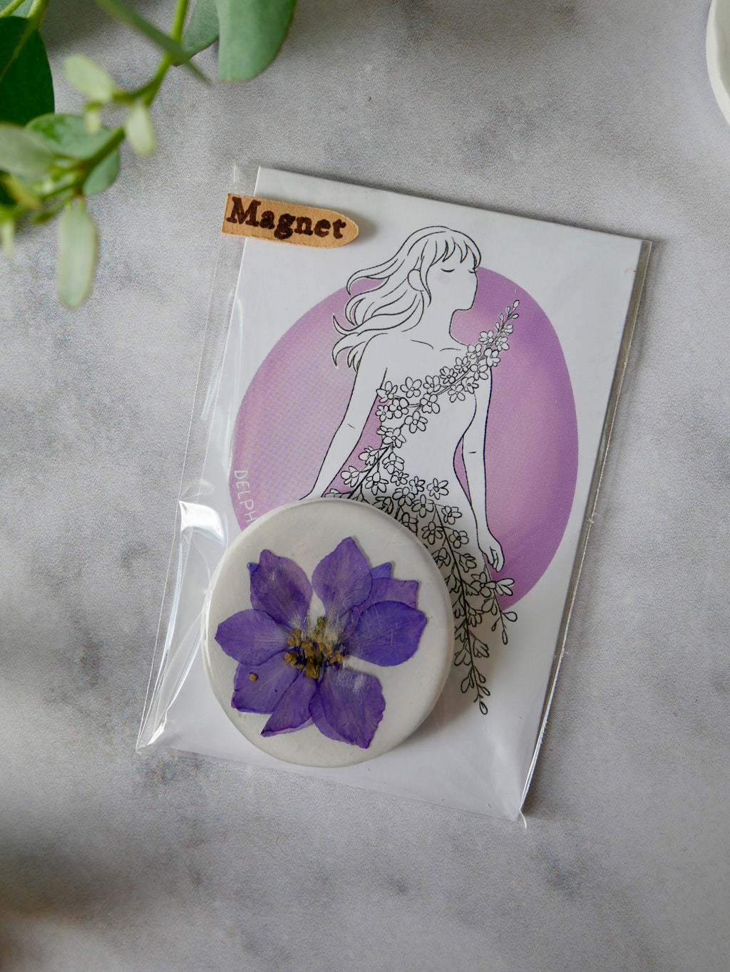 Magnet delphinium violet