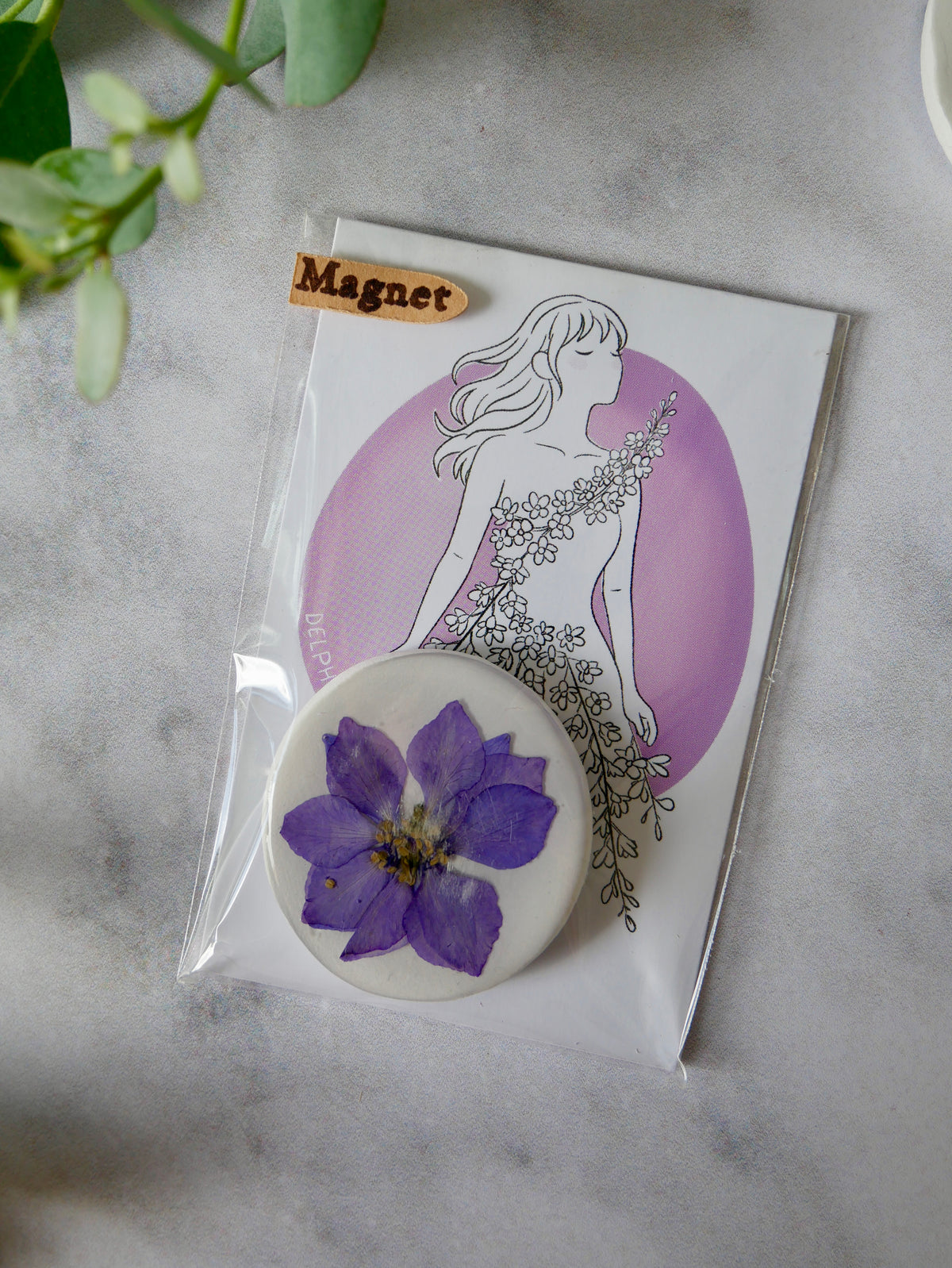 Magnet delphinium violet