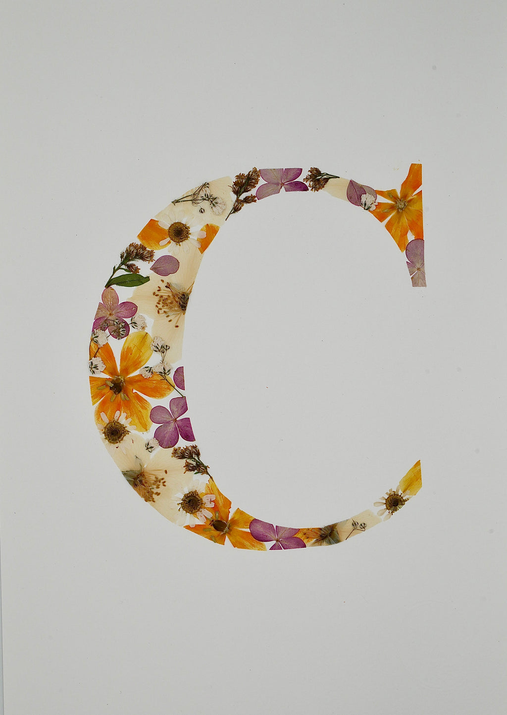 Herbier lettre