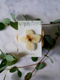 Broche seringat