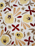 Herbier rond Albertine