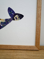 Herbier baleine