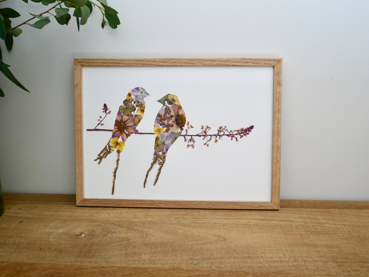 Herbier hirondelles