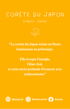 Pampilles énergie