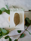 Broche eucalyptus