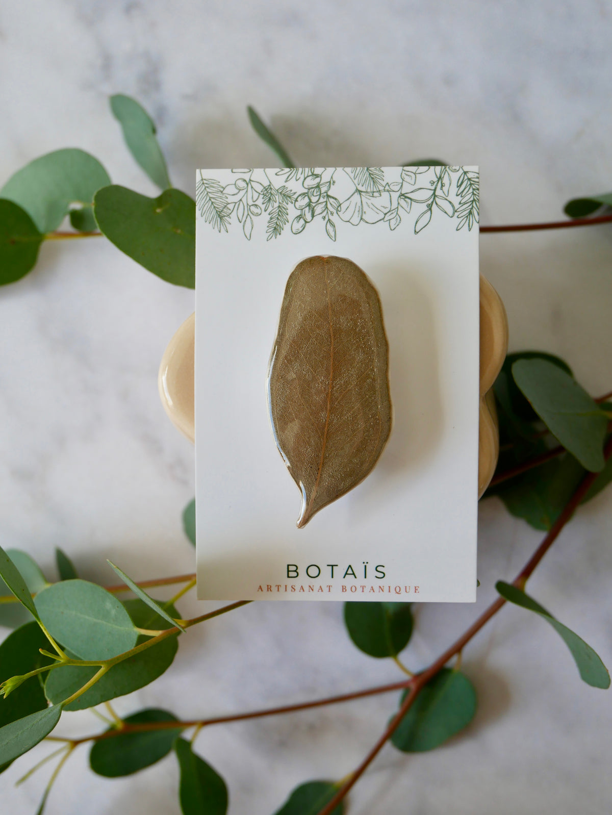 Broche eucalyptus
