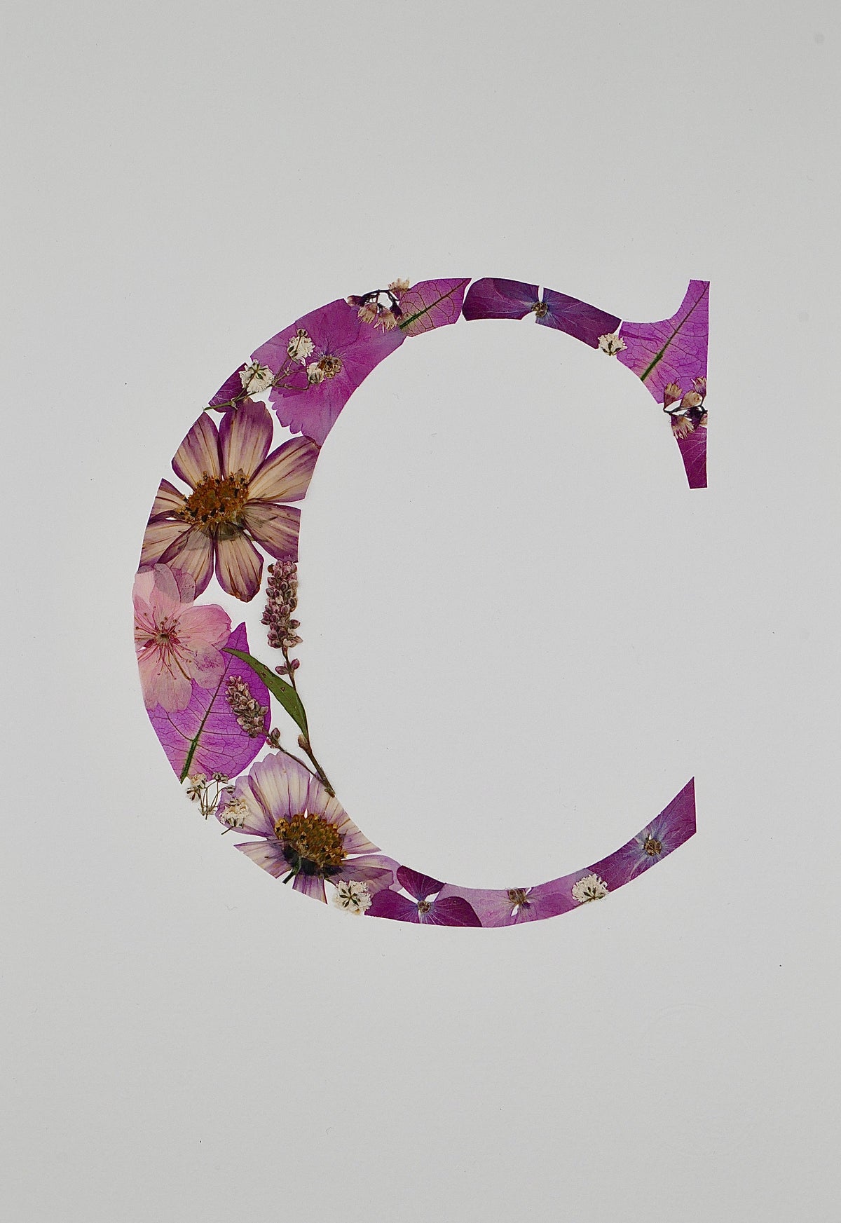 Herbier lettre