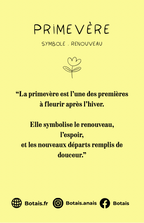 Pampilles renouveau