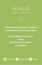 Pampilles protection