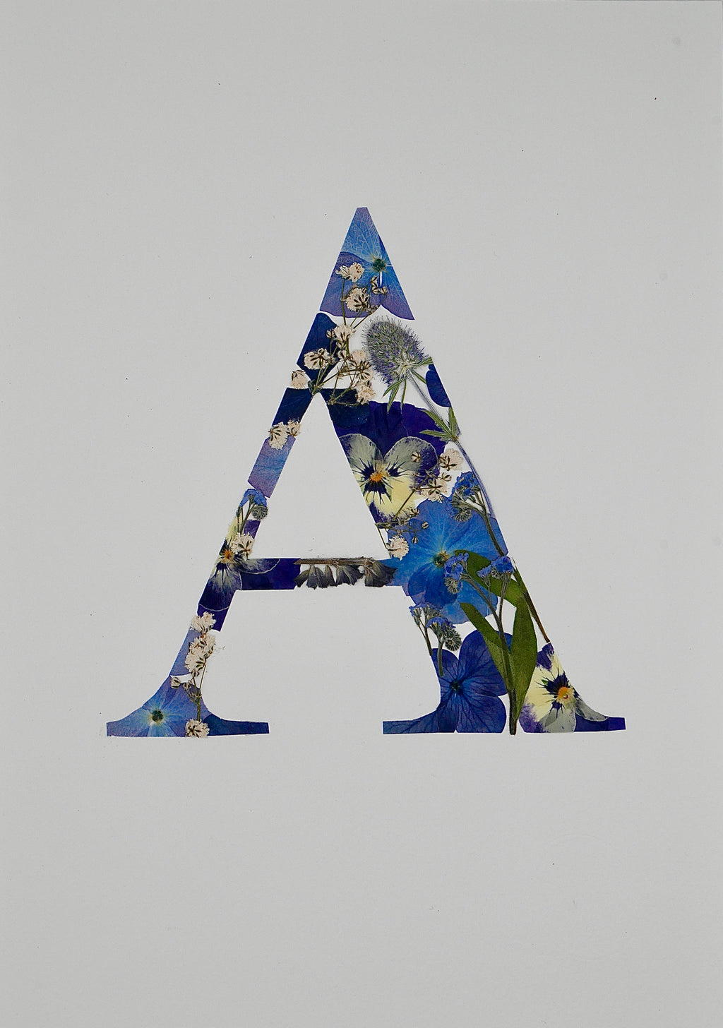 Herbier lettre