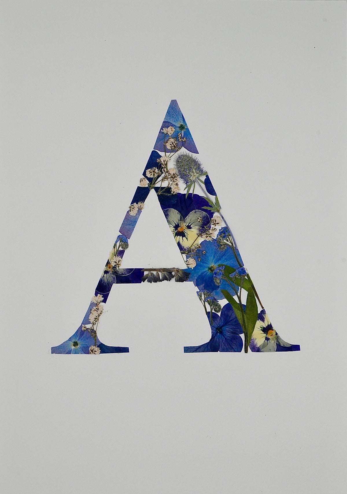 Herbier lettre