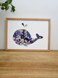 Herbier baleine