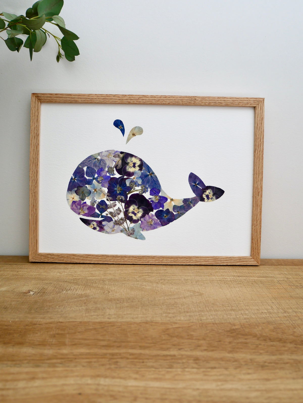 Herbier baleine