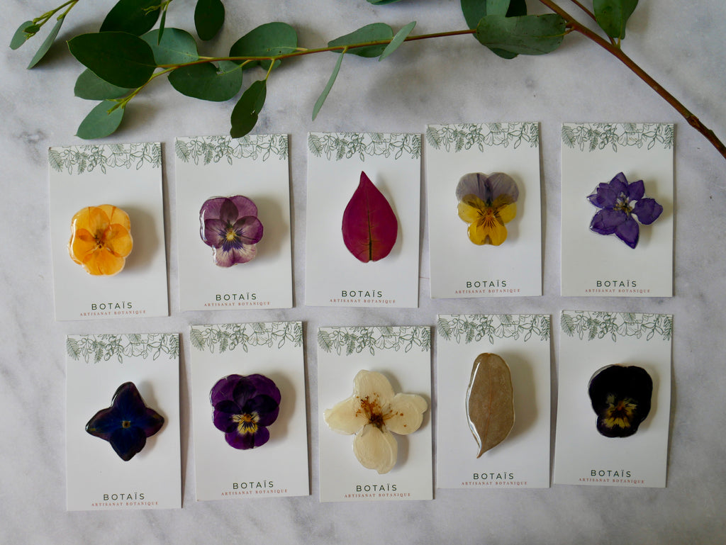 Broche eucalyptus
