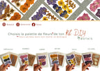 Kit DIY herbier