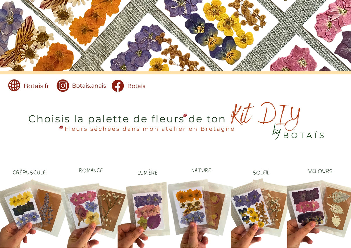 Kit DIY herbier