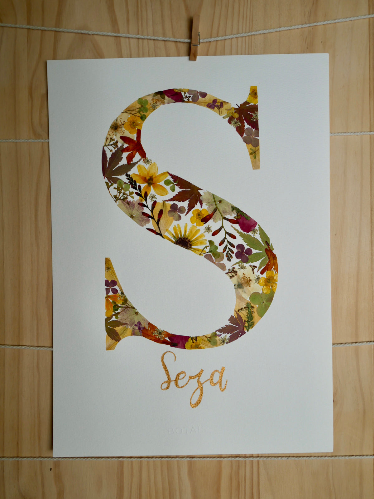 Herbier lettre