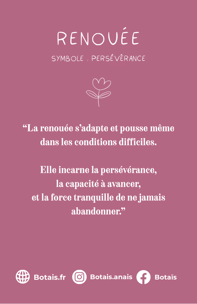 Pampilles persévérance