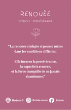 Pampilles persévérance