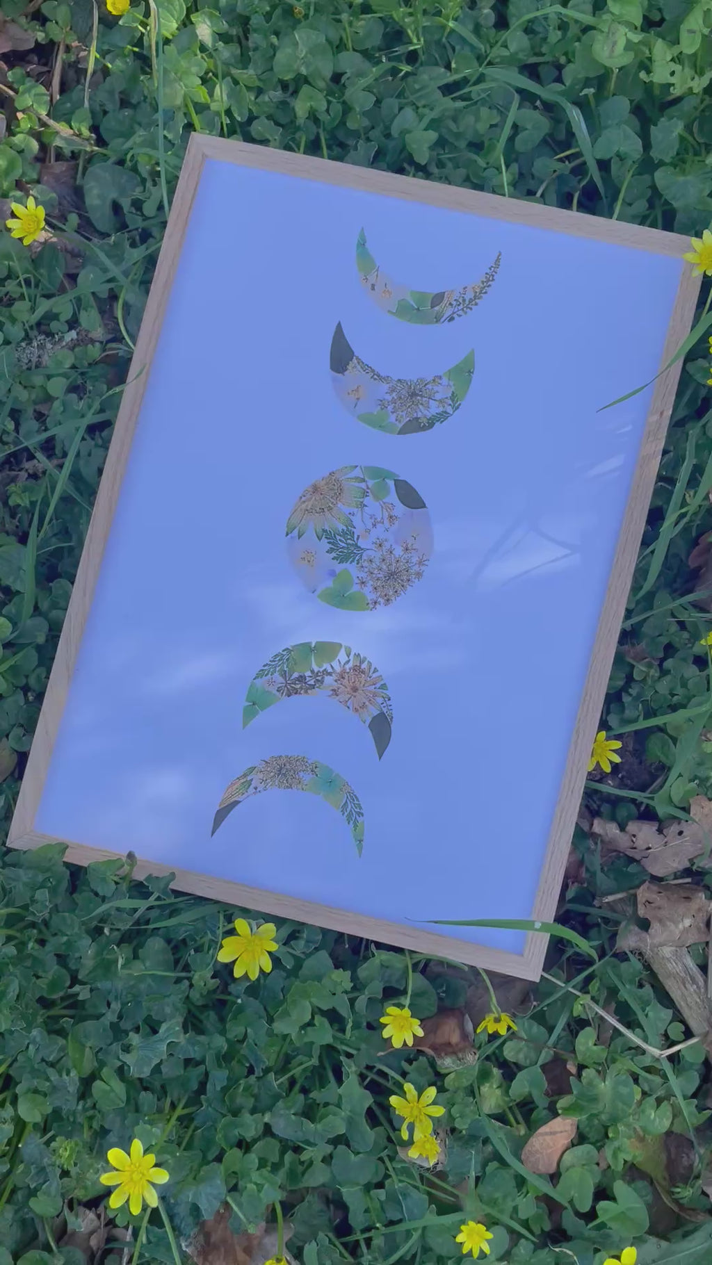 Affiche Lune A3